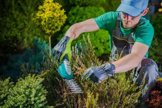 landscaping services Silverton